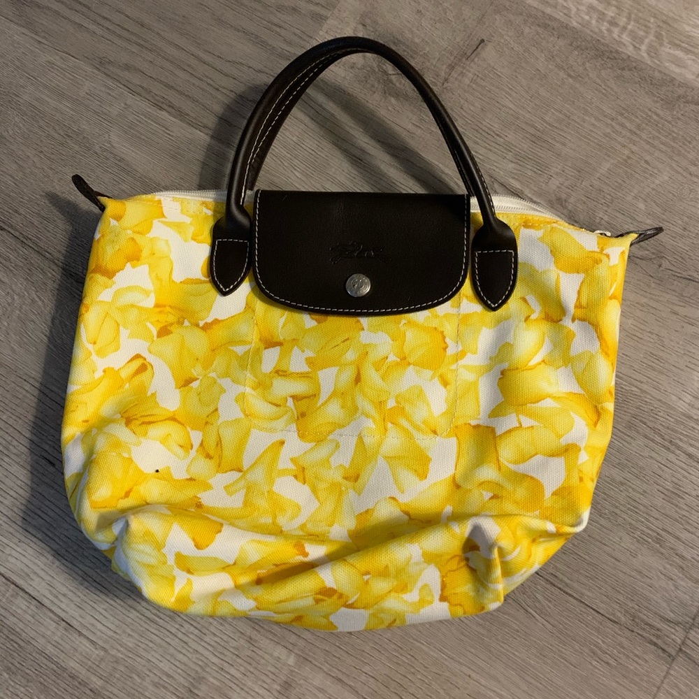 Small Longchamp bag